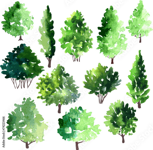 set of different deciduous trees