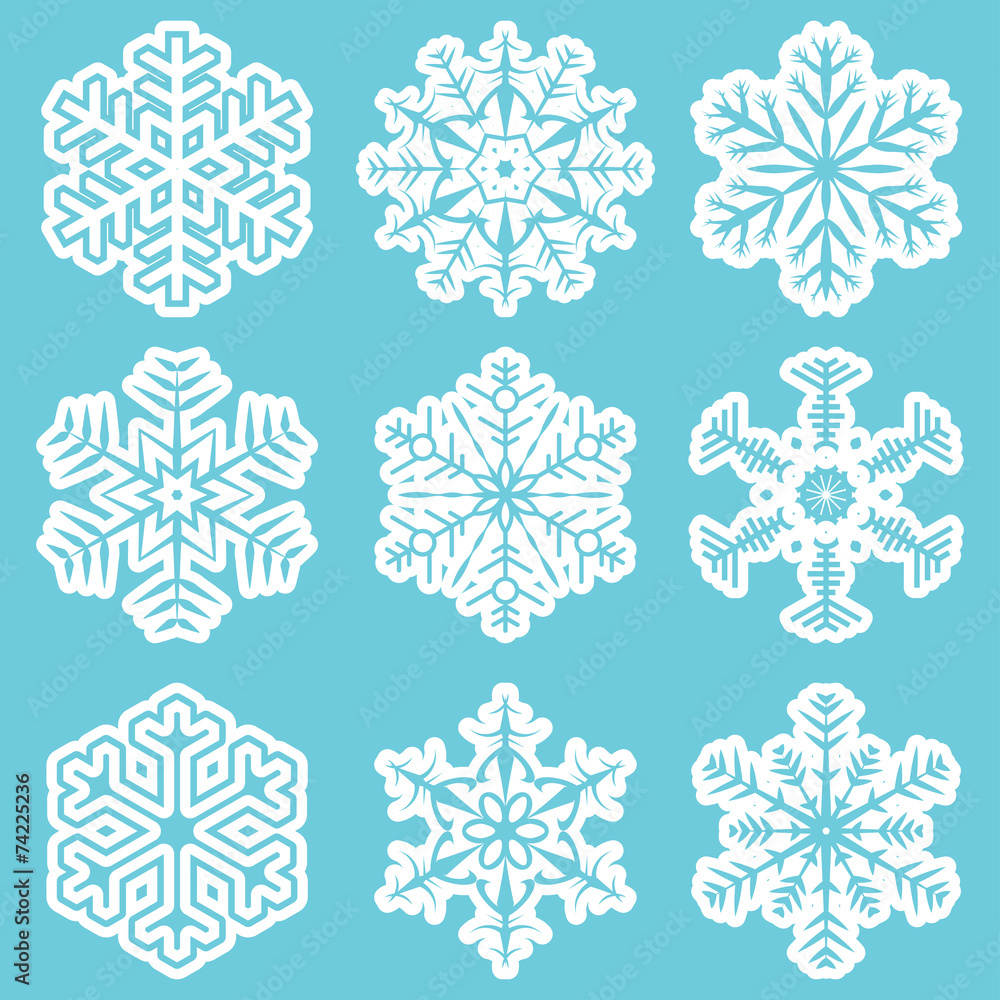 Fototapeta premium collection of different white snowflakes