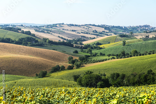 Marches  Italy   summer landscape