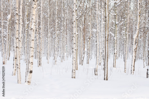 Canvastavla Winter trees