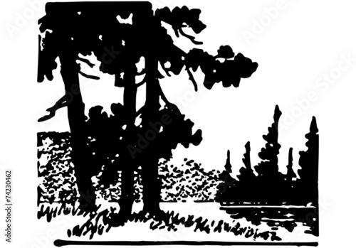 Trees By A Lake