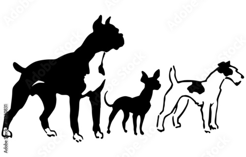 Three Breeds Of Dogs