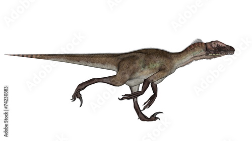 Utahraptor dinosaur running - 3D render