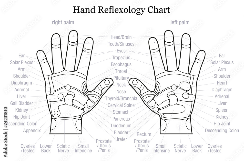 Hand Reflexology Chart Description Outline Stock Vector Adobe Stock