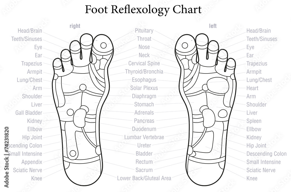 Foot Reflexology Chart Outline Foot Reflexology Chart Outline