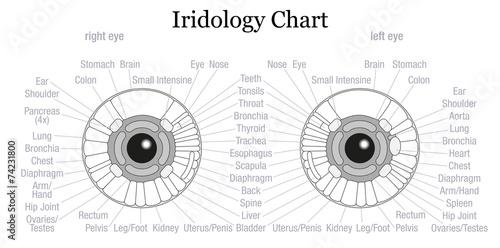 Iris Diagnosis Chart Eye Outline
