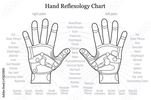 Hand reflexology chart description outline