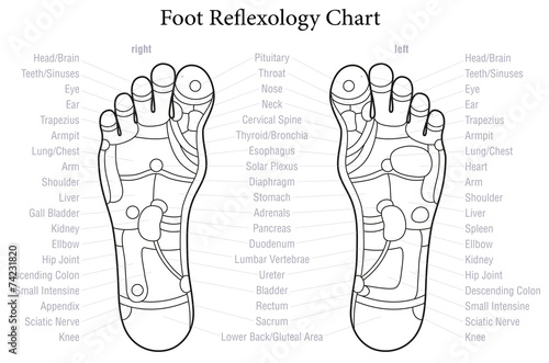 Foot Reflexology Chart Outline