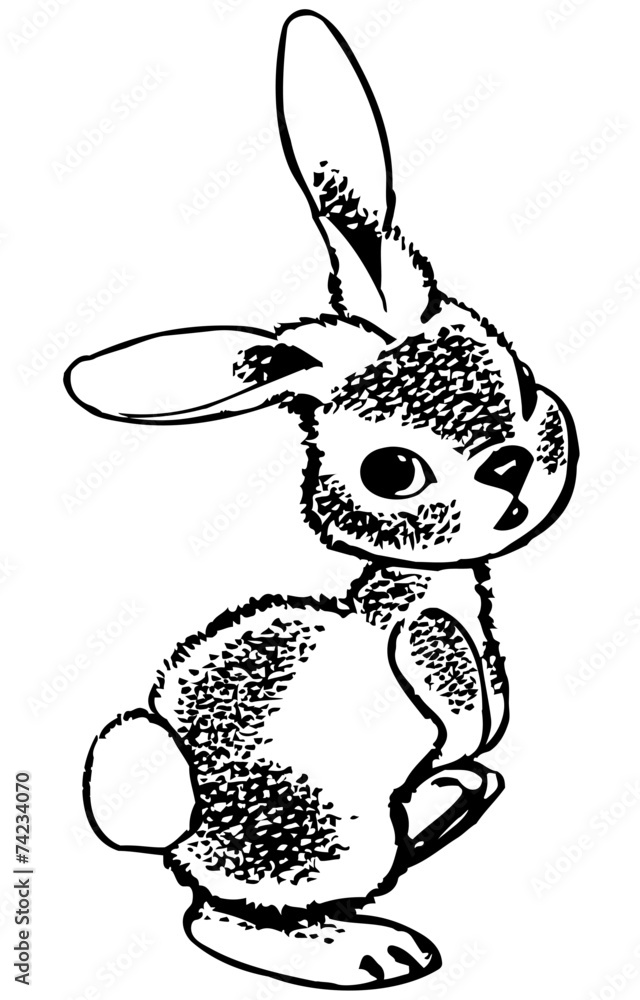 Obraz premium Rabbit