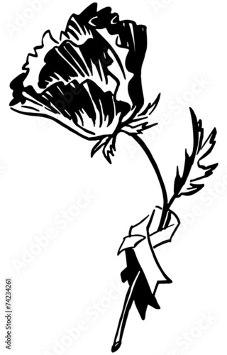 Fototapeta Naklejka Na Ścianę i Meble -  Poppy