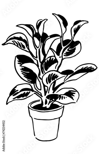 Plant 3