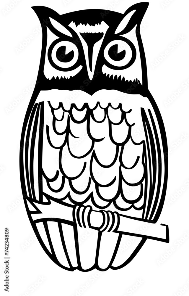 Obraz premium Owl On Branch