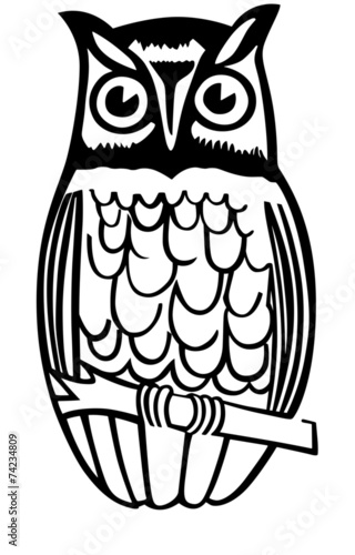 Owl On Branch