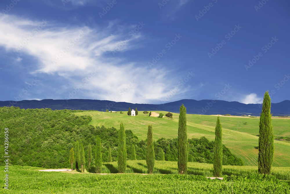 Tuscany, green landscape with hills and cypress trees, italy