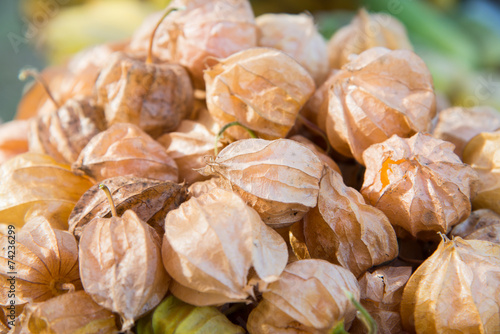 Fresh cape gooseberry photo