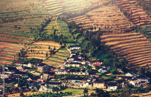 Field in Indonesia © Galyna Andrushko