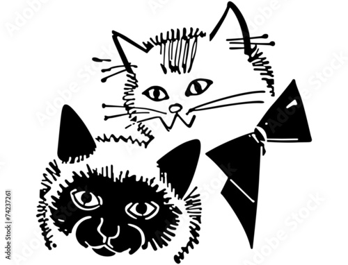Kitty Cats