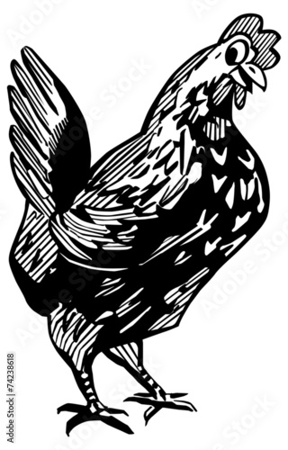 Happy Chicken