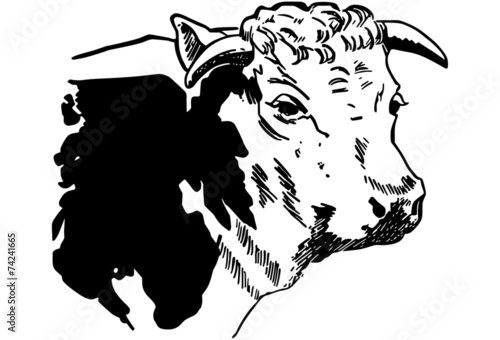 Cow 3