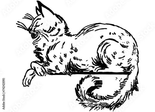 Cat Sitting On Ledge