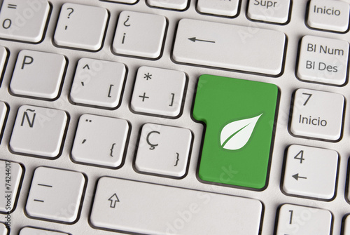 Green ecology concept, leaf keyboard key.