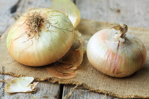 Onion from Giarratana, Sicily photo