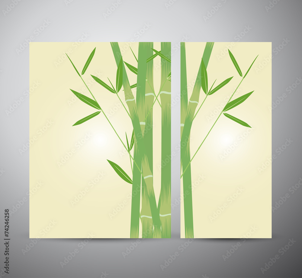 Fototapeta premium Bamboo with leaves. Brochure business design template or roll up