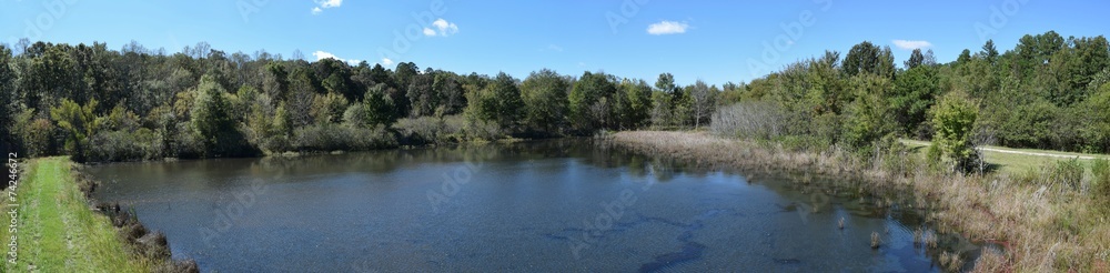 Ponds at the University of Mississippi Field Station