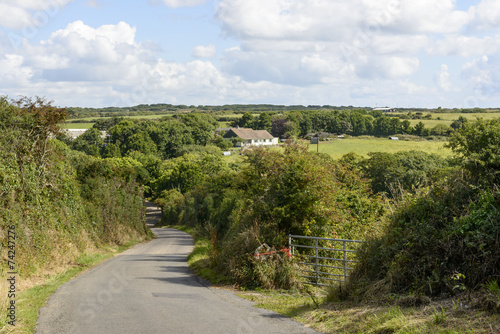 small country road between hedges, Cornwall