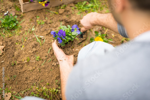 Gardener planting flowers