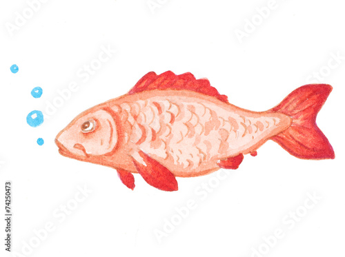Watercolor red aquarium fish