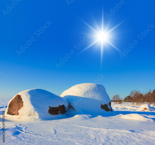 Snow Field Wintry Desert