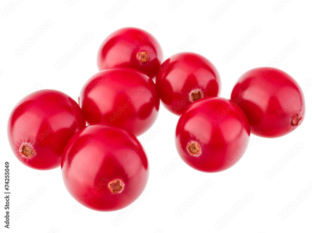 cranberry isolated on white background cutout cranberry isolated on white background cutout
