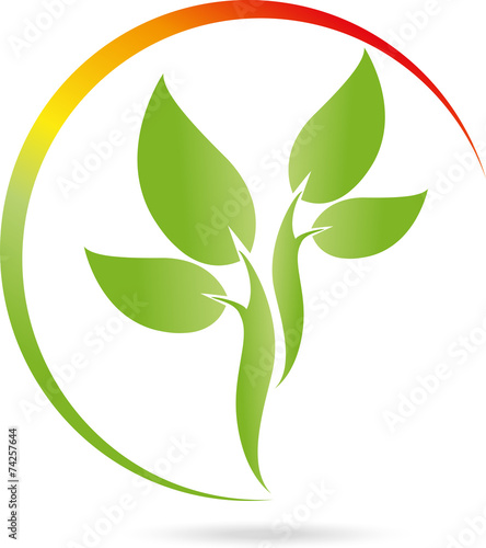Logo, Pflanze, Blätter, Heilpraktiker