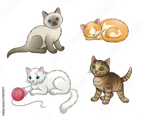 Set of pretty vector kittens