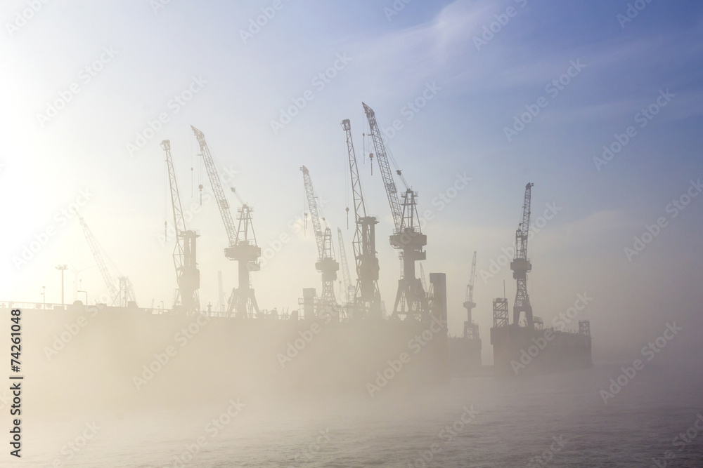 silhouette of cranes in fog