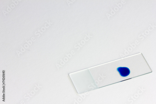 Microscope slide