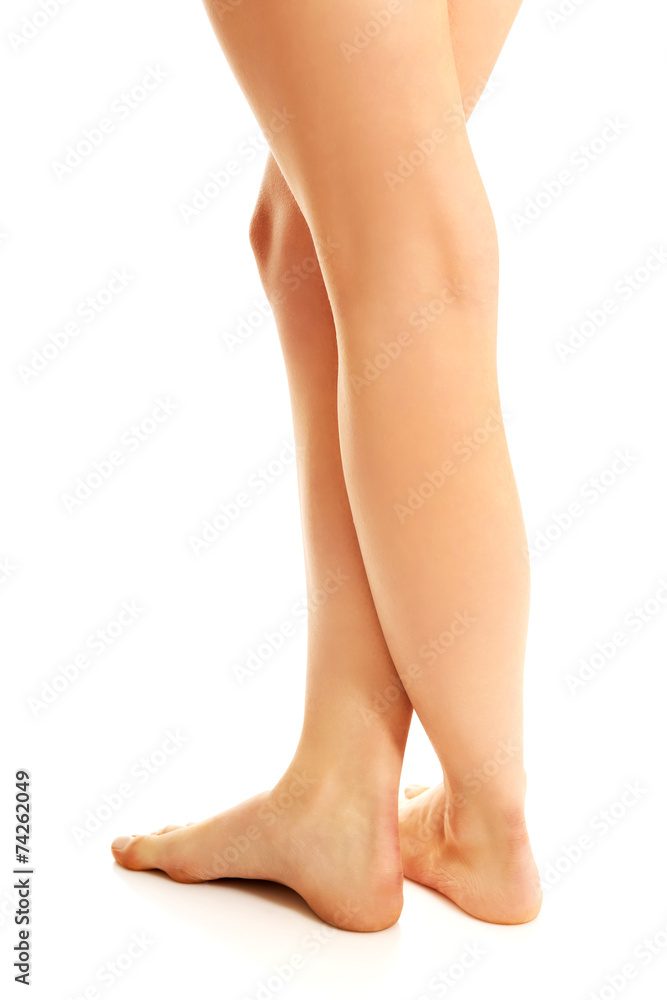 Back view of perfect female crossed legs Back view of perfect female crossed legs