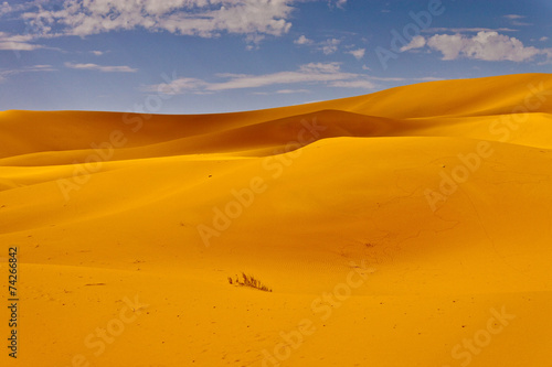 Erg Chebbi