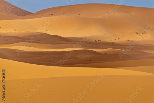 Erg Chebbi