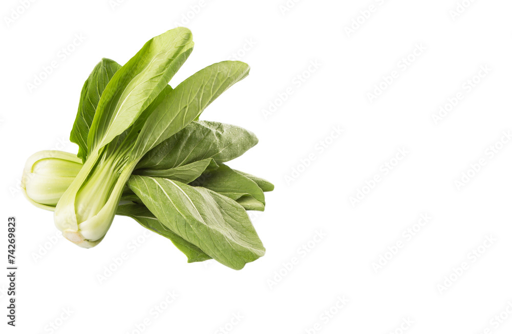 Chinese cabbage or bok choy over white background Chinese cabbage or bok choy over white background