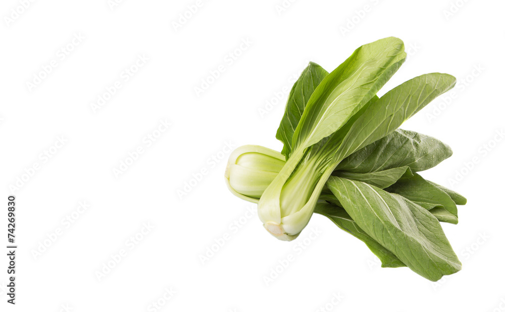 Chinese cabbage or bok choy over white background Chinese cabbage or bok choy over white background