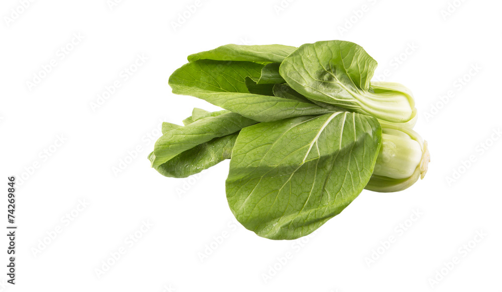 Chinese cabbage or bok choy over white background Chinese cabbage or bok choy over white background