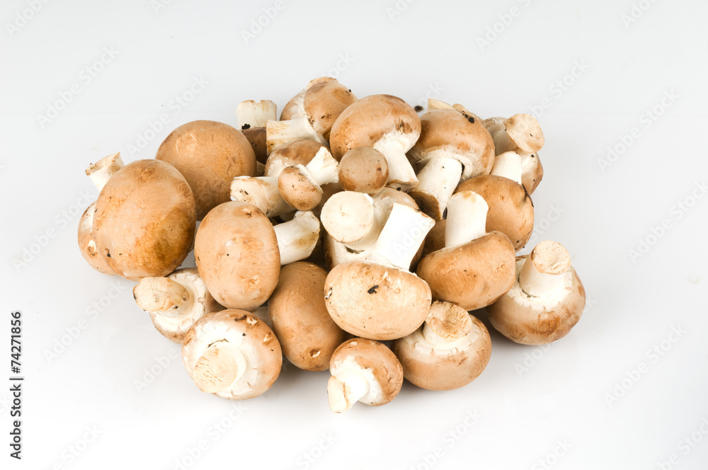 royal mushroom royal mushroom