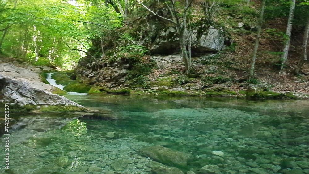 Lake into canyon forest. Lake into canyon forest.