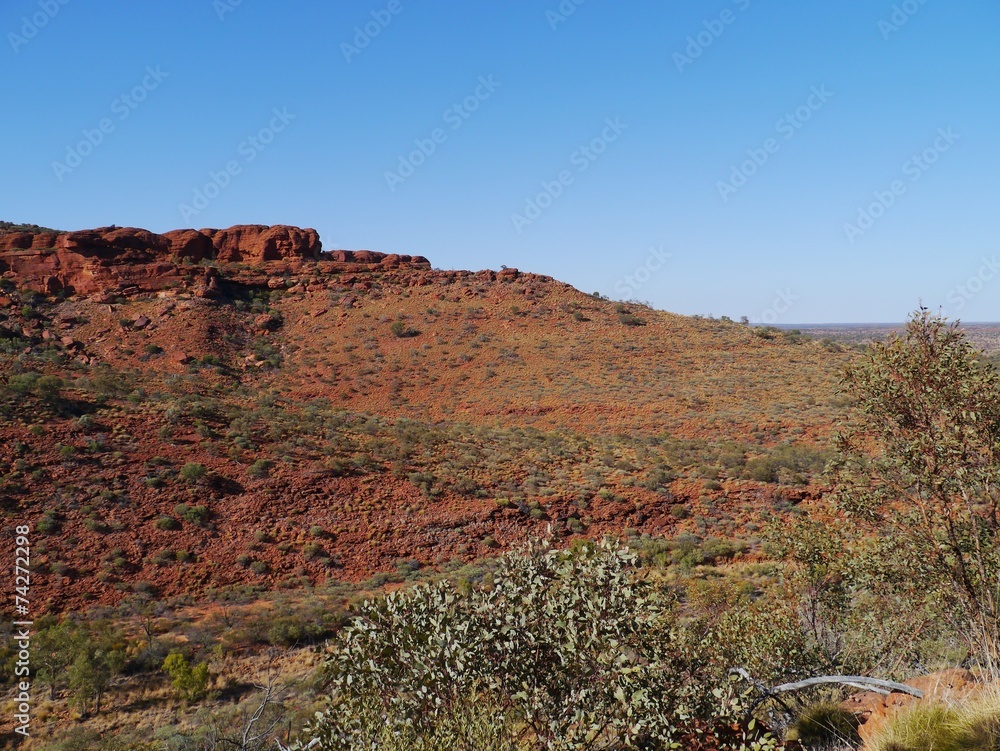 Obraz premium View of the sandstone domes at Kings Canyon