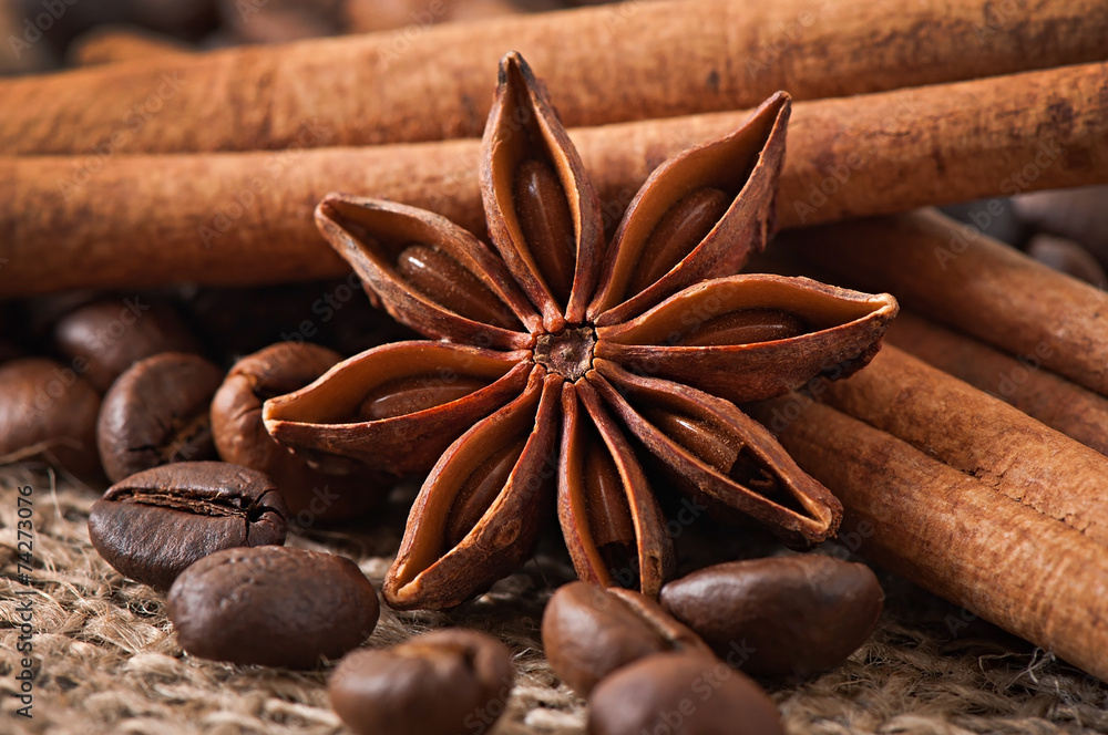 Anise, cinnamon and coffee beans on old wooden background