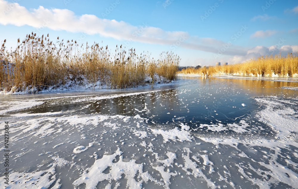 Obraz premium Beautiful winter landscape with frozen lake, reeds and power pla