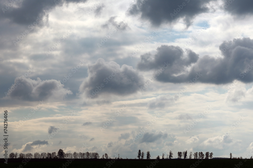 Fototapeta premium cumulus clouds