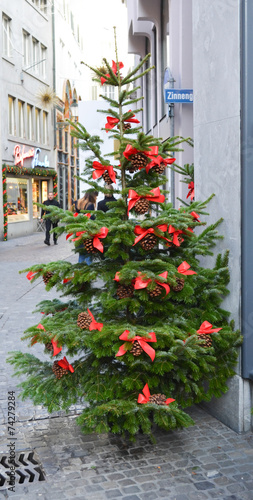 Fototapeta Naklejka Na Ścianę i Meble -  Christmas tree